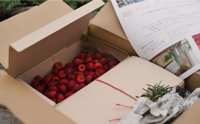 【先行予約】【数量限定30セット】ラズベリー 生食用 250g×2パック 計500g【SHO farm】 [AKDD001]