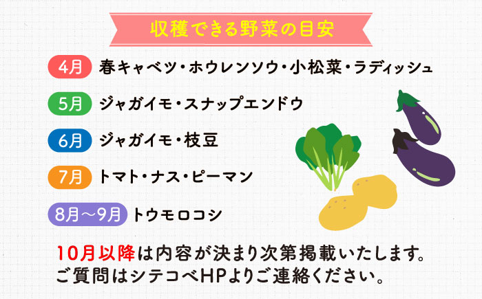 三浦半島の野菜収穫体験【株式会社シテコベ】 [AKDQ001]