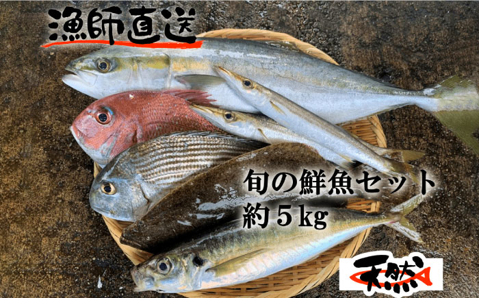 【季節限定】冬の朝どれ 鮮魚おまかせセット 約5kg【有限会社勘網】 [AKDX004]