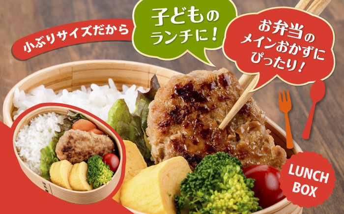 国産豚肉使用 精肉店の手づくりハンバーグ 30個【有限会社丸伸商事】 [AKFH047]