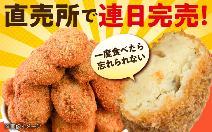 【数量限定】ポテトコロッケ10個 サクスカコロッケ10個 計20個 【三富屋商事株式会社】 [AKFJ114]