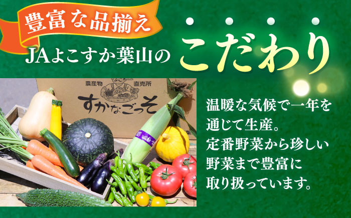 【全3回定期便】よこすか野菜セット すかなボックス 【JAよこすか葉山】 [AKFO007]