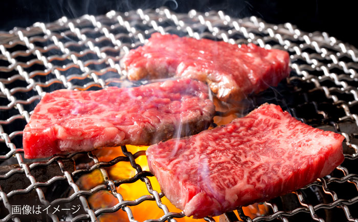 【冷蔵発送でお届け】 葉山牛 焼肉用切り落としセット 約1kg 【JAよこすか葉山】 [AKFO012]