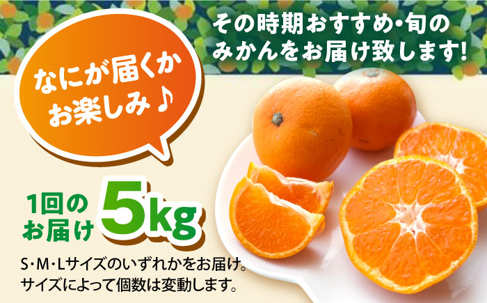 【3回定期便】毎月違う品種が届く　温州みかん　約5kg　【志村農園】 [AKGH006]