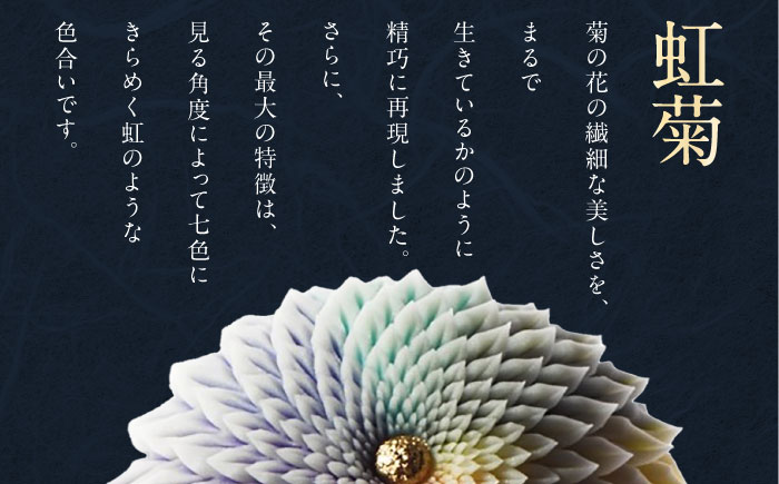 虹菊　鋏菊　上生菓子【有限会社いづみや】 [AKGK017]