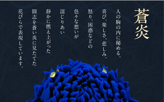 蒼炎　針切菊　上生菓子【有限会社いづみや】 [AKGK018]