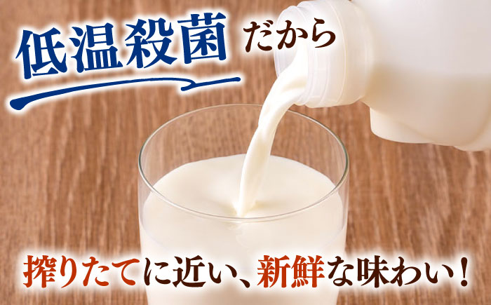 低温殺菌牛乳 ジャージー牛乳 牛乳 人気 6本セット　【よこすか関口牧場】 [AKGN002]