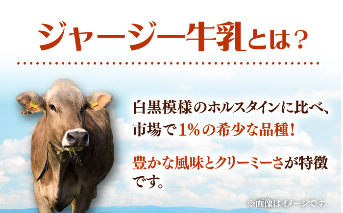 チーズ ナチュラルチーズ 3個セット　【よこすか関口牧場】 [AKGN010]