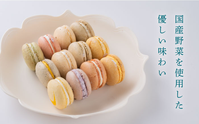 マカロン12個セット　よこすかfarmersSelection マカロン　お菓子　スイーツ 野菜　【マカルース】 [AKGS002]