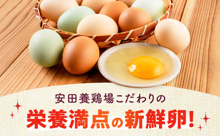 【年内発送の受付は12月18日まで！】【数量限定100セット】安田養鶏場の卵 タフラン 30個入り 横須賀市 産地直送 割れ保証付き たまご 黄身 濃厚 卵 玉子 タマゴ 鶏卵 年内発送 【安田養鶏場】 [AKHN005]