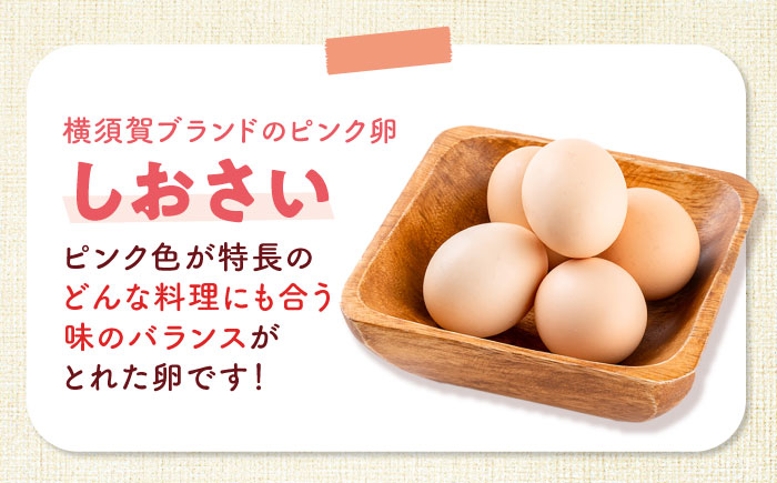 【年内発送の受付は12月18日まで！】安田養鶏場の卵 3種セット しおさい アトムくん タフラン 60個入り（各20個入り） 横須賀市 産地直送 割れ保証付き たまご 黄身 濃厚 卵 玉子 タマゴ 鶏卵 年内発送【安田養鶏場】 [AKHN007]
