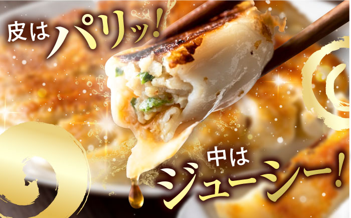 訳あり 本格　肉餃子 100個セット 【株式会社オウモリ食品】 [AKHQ006]