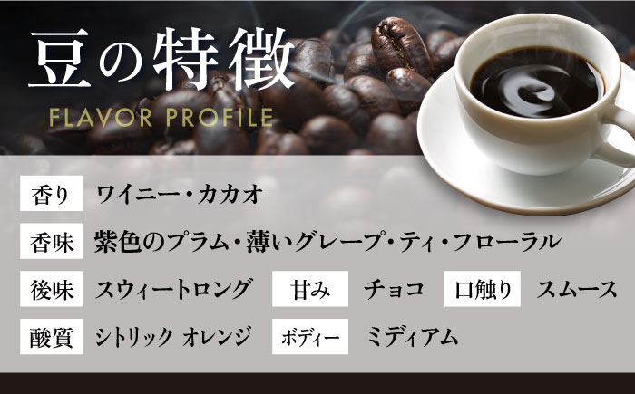 【全3回定期便】コーヒー豆 自家焙煎 中煎り エルサルバドル 200g×4 TSUKIKOYA COFFEE ROASTER ツキコヤ【株式会社RUINS】 [AKAD028]