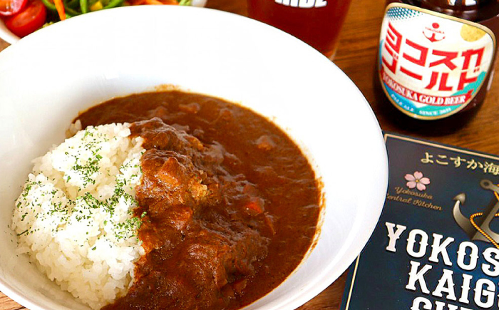 よこすか海軍カレー 1人前200g×10個セット 2kg カレー レトルト【有限会社たのし屋本舗】 [AKAE022]