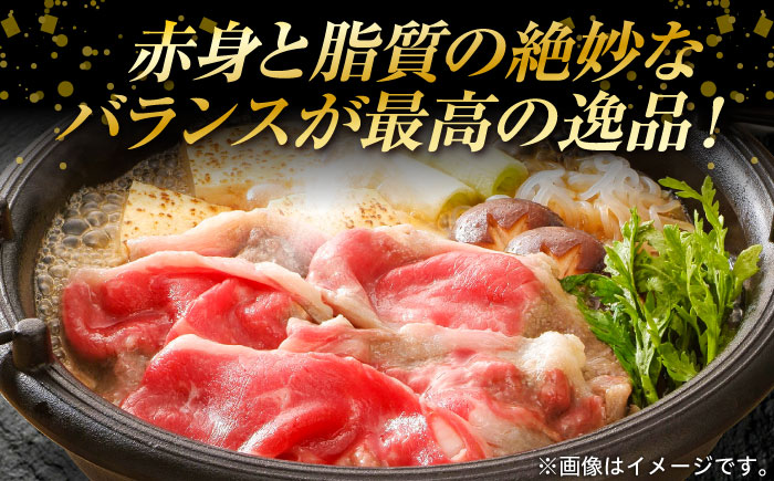 葉山牛肩ロースすき焼き用 250g×2パック 計500g 【株式会社羽根】 [AKAG004]