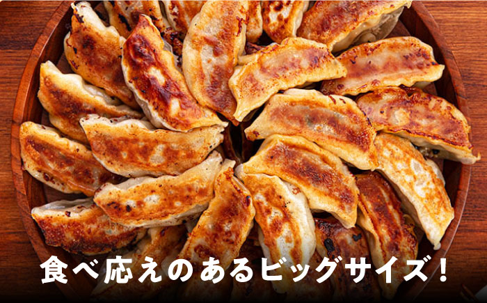 ジャンボ生餃子150個【コロワイドMD神奈川工場】 [AKAH009]