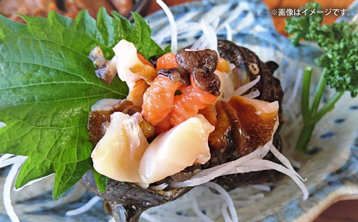 【全3回 隔月 定期便】サザエ 1kg 6～10個 三浦半島【長井水産株式会社】 [AKAJ011]