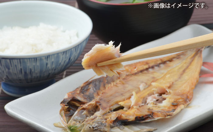 三浦半島 極上アジ干物 16枚 【長井水産株式会社】 [AKAJ022]