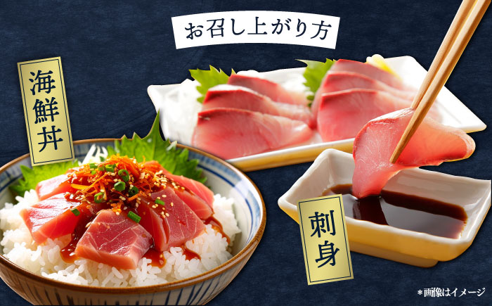 お刺身用 三浦半島の天然地魚 三枚おろし 約1.5kg 刺身 魚 処理済み 下処理済み 三枚おろし　【長井水産株式会社】 [AKAJ028]