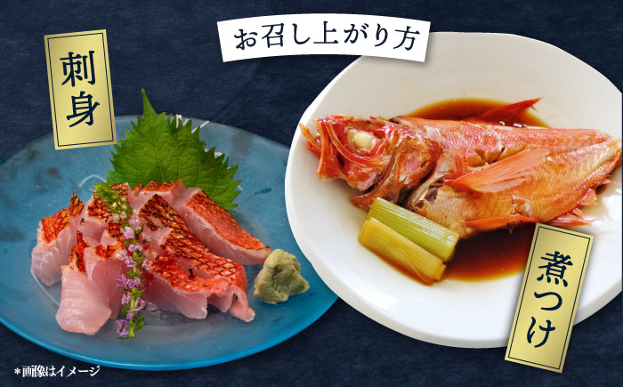 【先行予約】【冬季限定】下ごしらえ済 キンメダイ 約500～800g 鮮魚 処理済み 下処理済み【長井水産株式会社】 [AKAJ029]