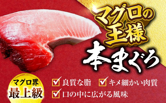 天然 本まぐろ 赤身 計約400g （2柵入り）【横須賀商工会議所 おもてなしギフト事務局（本まぐろ直売所 横須賀本店）】 [AKAK097]