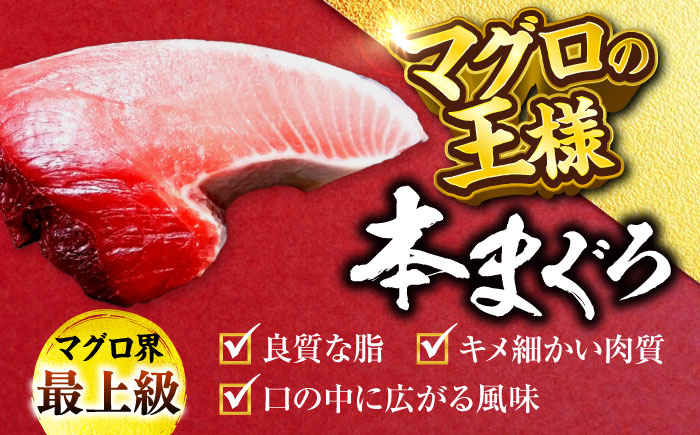 天然 本まぐろ 中トロ（約200～250g（1柵入り））【横須賀商工会議所 おもてなしギフト事務局（本まぐろ直売所 横須賀本店）】 [AKAK118]