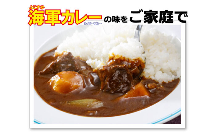 よこすか海軍カレー ネイビーブルーカレーフレーク 125g×53袋【横須賀商工会議所 おもてなしギフト事務局（株式会社調味商事）】 [AKAQ014]
