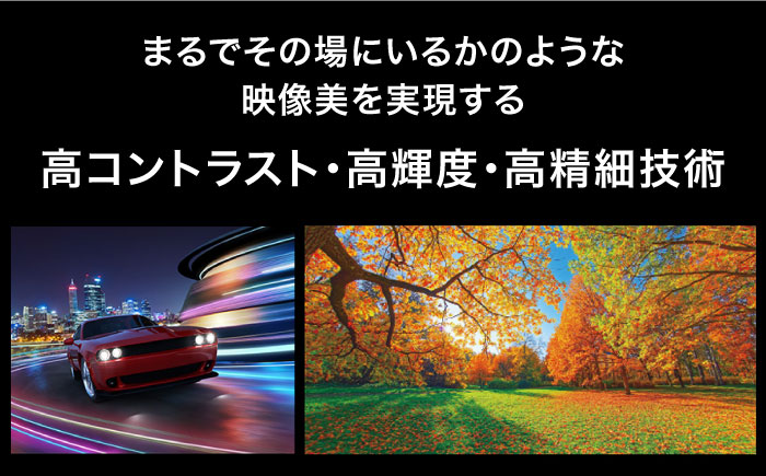 プロジェクターVictor 8K D-ILA DLA-V900R【株式会社ＪＶＣケンウッド】 [AKBK007]