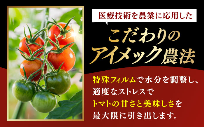 【先行予約】【数量限定】V トマト 糖度10度以上 800g【株式会社ブイ・テクノロジー】 [AKBL005]