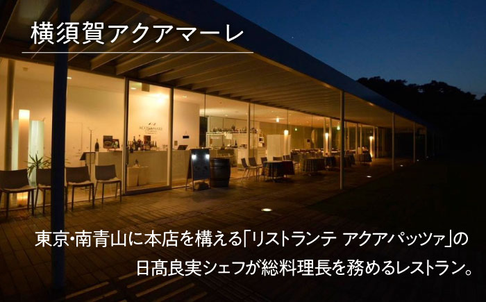 横須賀美術館観覧券＆レストランアクアマーレ食事券（ディナーコース/おひとり券）【横須賀美術館】 [AKBX002]