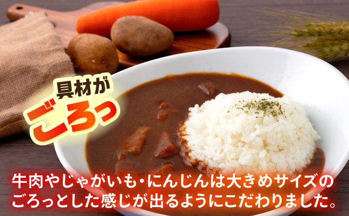 F・マリノスKURIHAMAカレー 220ｇ×10個セット【久里浜商店会協同組合】 [AKCA002]