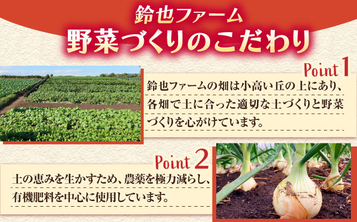 すずなり採れたて野菜BOX（10～15品目）冬（12月～2月）【鈴也ファーム】 [AKCE002]