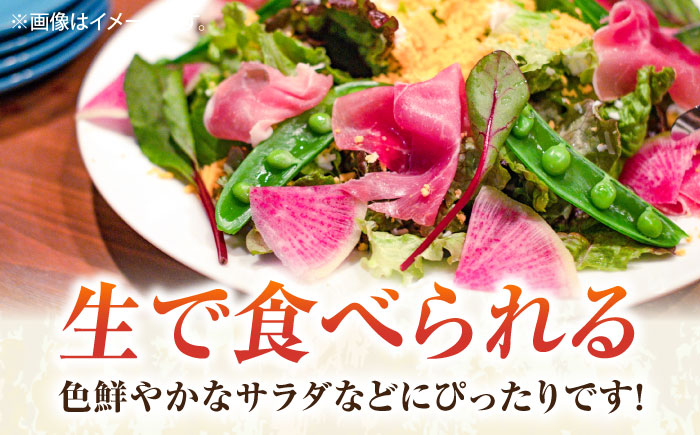 【先行予約】レインボー 大根 約2kg 【鈴也ファーム】 [AKCE015]