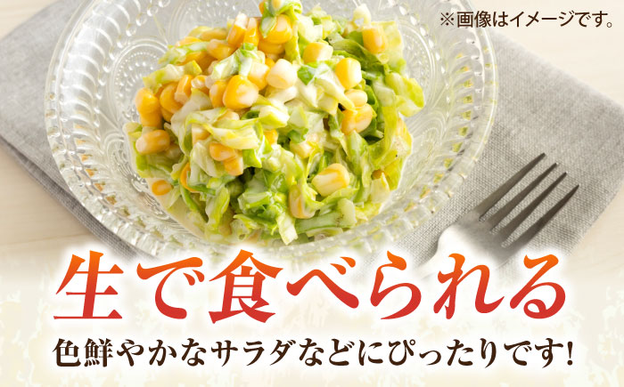 【先行予約】【数量限定50セット】キャベツ　4玉（11月～3月）【鈴也ファーム】 [AKCE017]