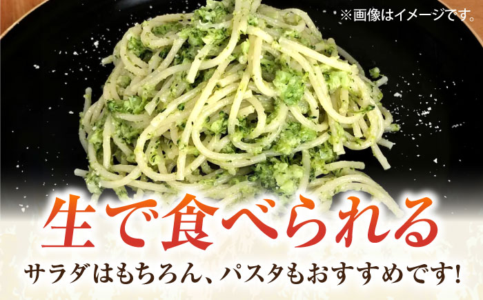 【先行予約】ブロッコリー 約2kg 【鈴也ファーム】 [AKCE018]