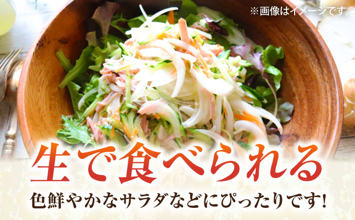 【先行予約】新玉ねぎ 約5kg 【鈴也ファーム】 [AKCE019]