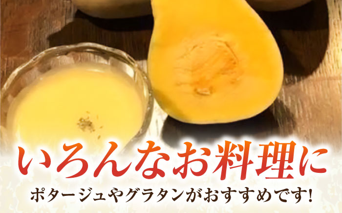 バターナッツ 約5kg 【鈴也ファーム】 [AKCE022]