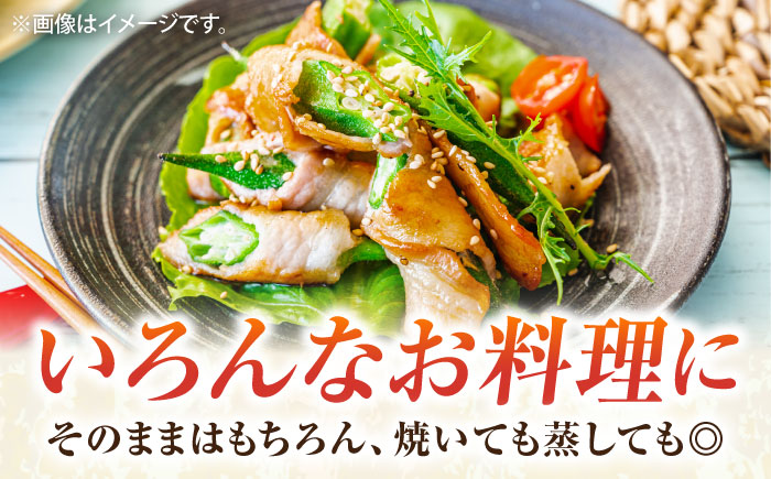 【先行予約】オクラ 約1kg【鈴也ファーム】 [AKCE023]