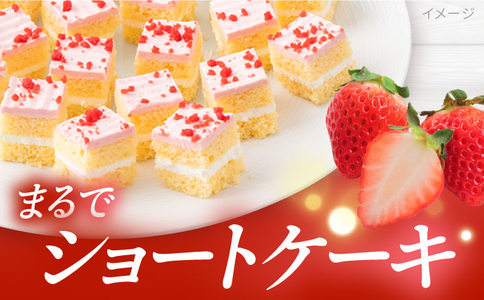 【年内発送の受付は12月23日まで！】ケーキアソートセット2種 (チョコ・いちご） 年内発送 【ファミール製菓株式会社】 [AKCI010]