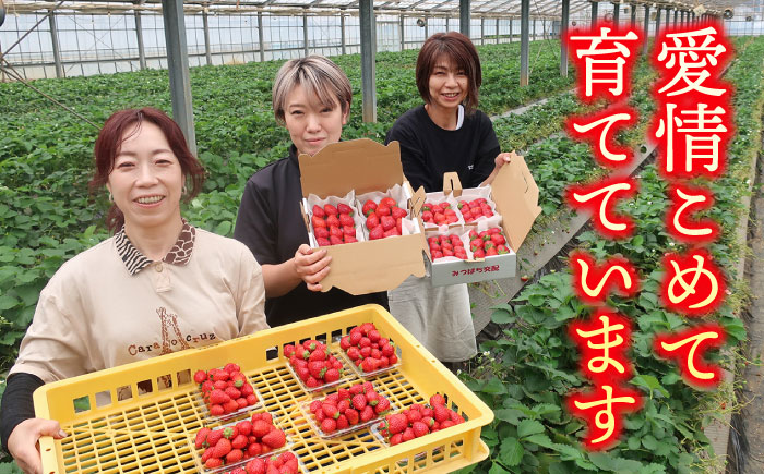 【先行予約】【数量限定100セット】嘉山農園の完熟大粒いちご とちおとめ（300g×2パック）【いちごはうす嘉山農園】 [AKCO001]