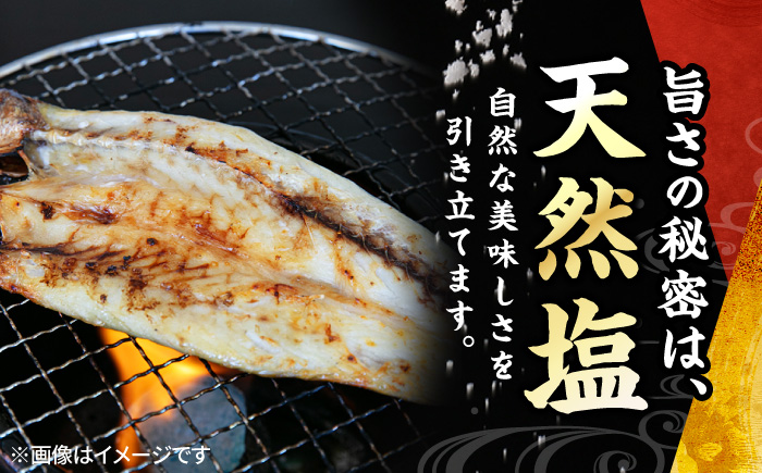 漁師町佐島 カマスの開き 15枚セット 干物 横須賀 【石川水産】 [AKCX002]