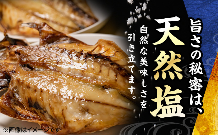 漁師町佐島 干物2種セット 28枚 アジ カマス 干物 横須賀 【石川水産】 [AKCX005]