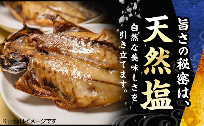 【訳あり】漁師町佐島 真アジの開き 約1.4kg（20枚前後）セット 干物 横須賀 【石川水産】 [AKCX013]