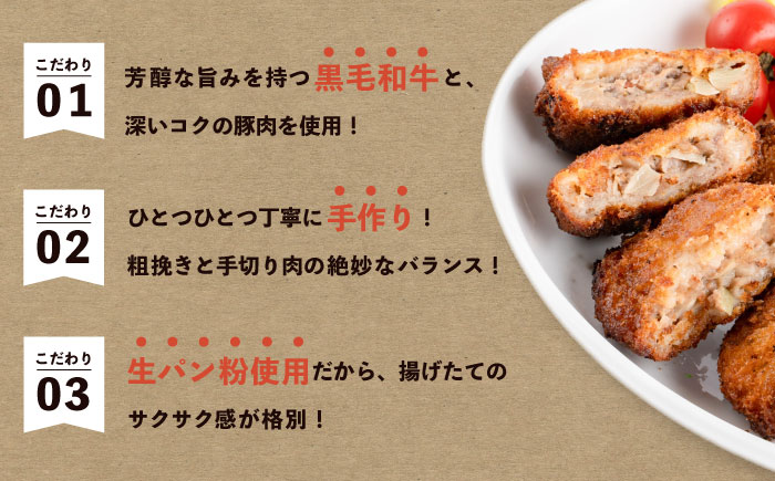 冷凍メンチカツ  20個入り　【有限会社横須賀松坂屋】 [AKCY014]