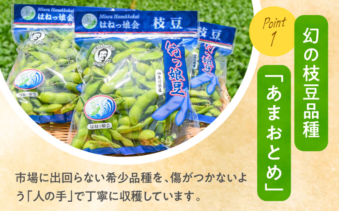 【先行予約】【数量限定100セット】はねっ娘枝豆 3kg（300g×10袋）【有限会社岩崎ファーム】 [AKCZ002]