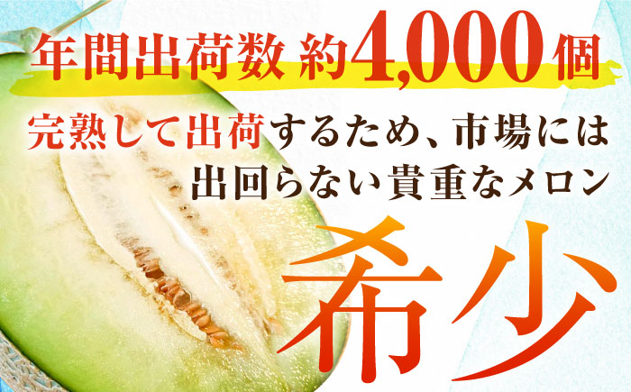 【先行予約】【数量限定50セット】よこすか潮風メロン 大玉4L 2玉セット 計約3kg 【井上農園】メロン [AKDJ001]