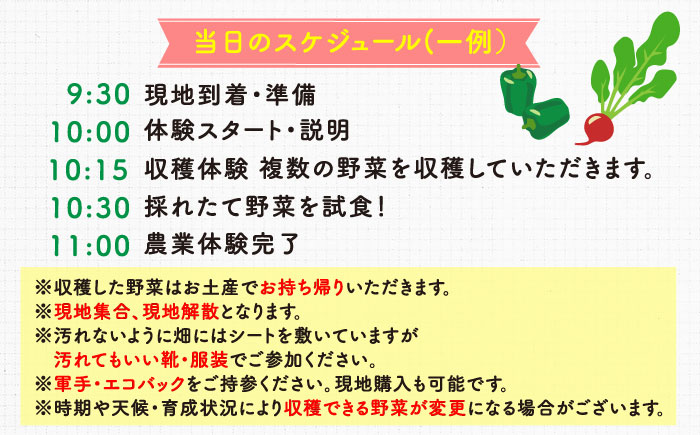 三浦半島の野菜収穫体験【株式会社シテコベ】 [AKDQ001]