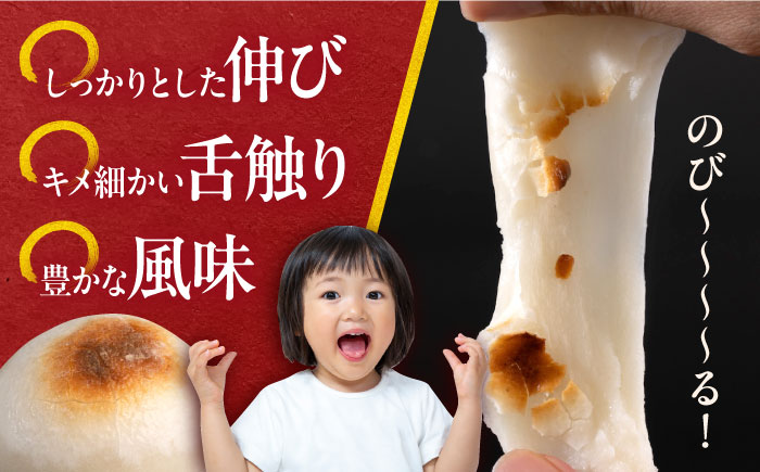 【年内発送の受付は12月24日まで！】【訳あり】丸餅 6個入り×2パック 12個入り もち 餅 年内発送 【有限会社さかくら総本家】 [AKEI007]