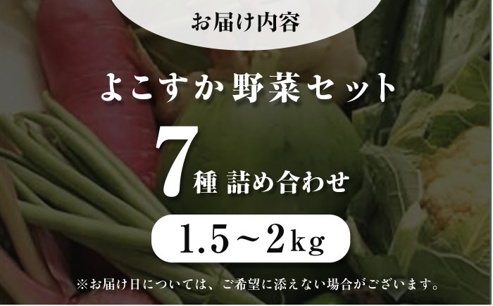 横須賀産野菜セット 7種 詰め合わせ【横須賀商工会議所 おもてなしギフト事務局（三浦半島直売所）】 [AKES001]
