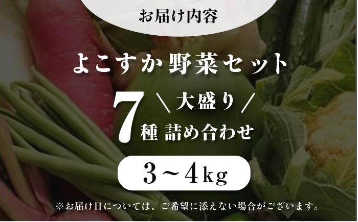 横須賀産野菜セット 大盛り 7種 詰め合わせ【横須賀商工会議所 おもてなしギフト事務局（三浦半島直売所）】 [AKES002]